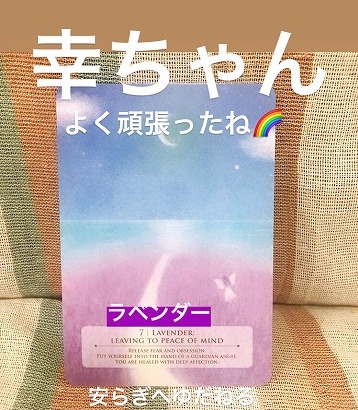 ラベンダー安らぎへゆだねる。病気の薬や苦しみから解き放され、安らぎに満ちた天へ…